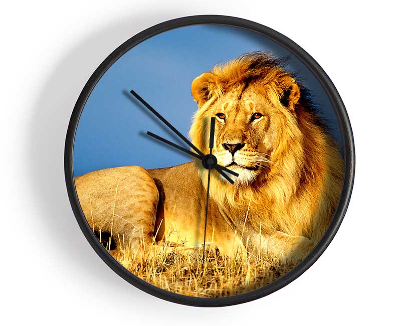 African Lion King Clock - Wallart-Direct UK