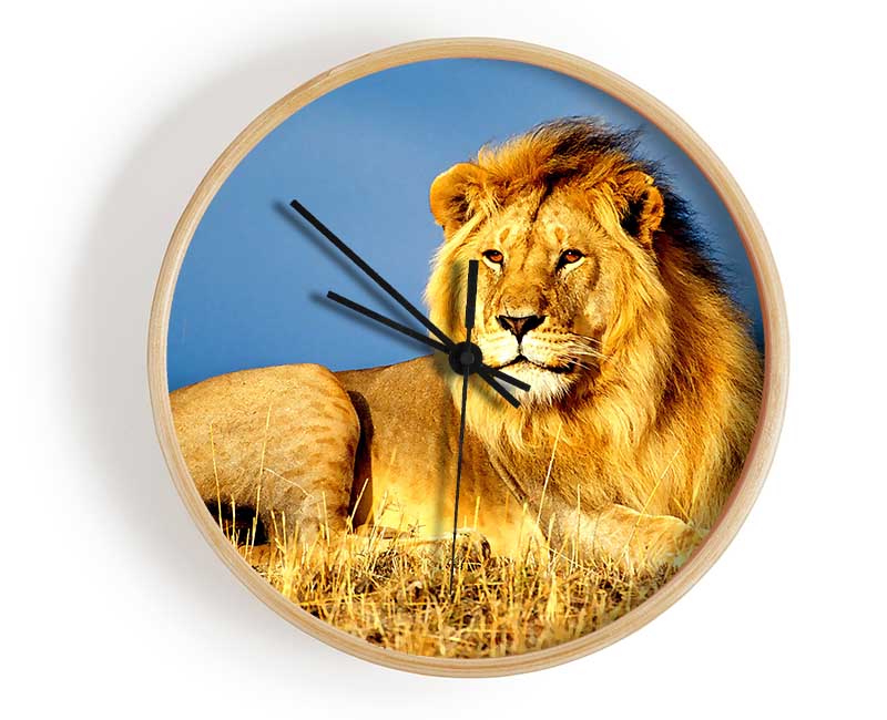 African Lion King Clock - Wallart-Direct UK
