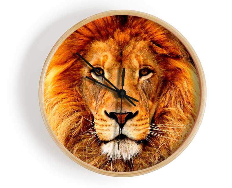 African Lion Clock - Wallart-Direct UK