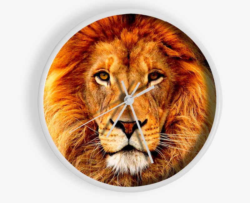 African Lion Clock - Wallart-Direct UK