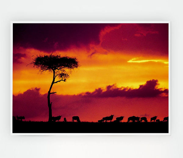 African Safari Sunset Print Poster Wall Art
