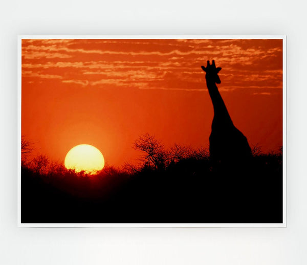African Sunset Giraffe Print Poster Wall Art