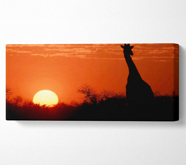 Afrikanische Sonnenuntergang-Giraffe