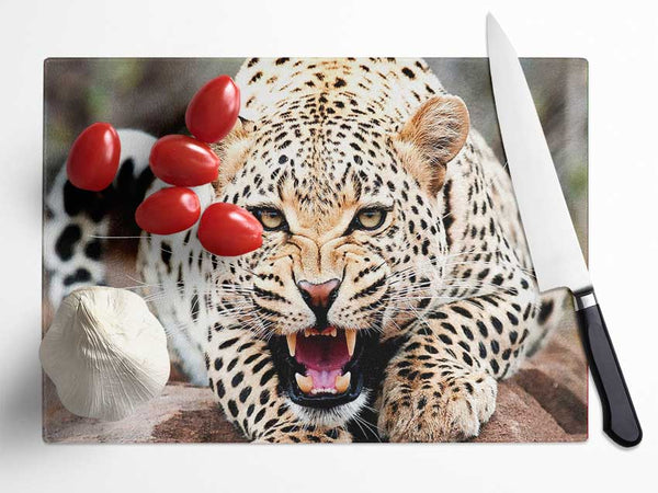 Amazing Cheetah Glass Chopping Board