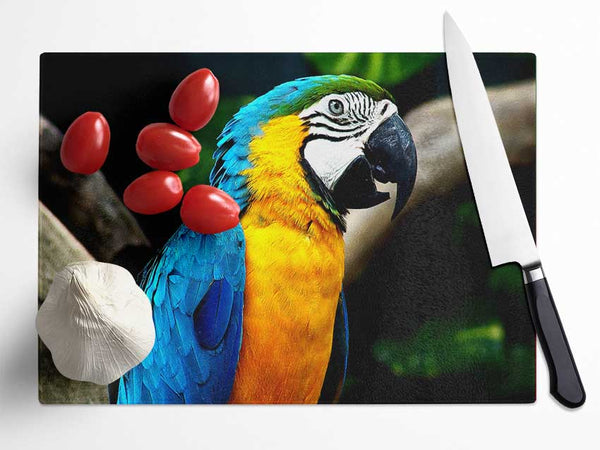 Amazing Parrot Glass Chopping Board