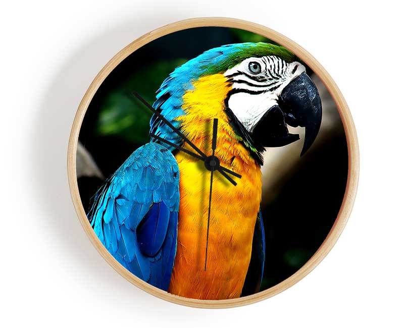 Amazing Parrot Clock - Wallart-Direct UK