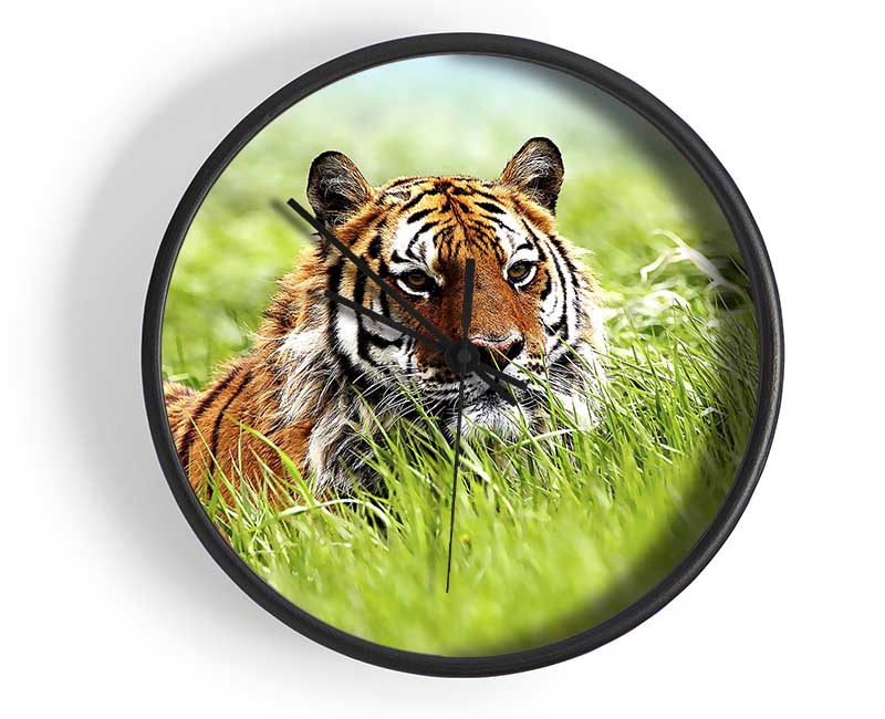 Amazing Siberian Tiger Clock - Wallart-Direct UK