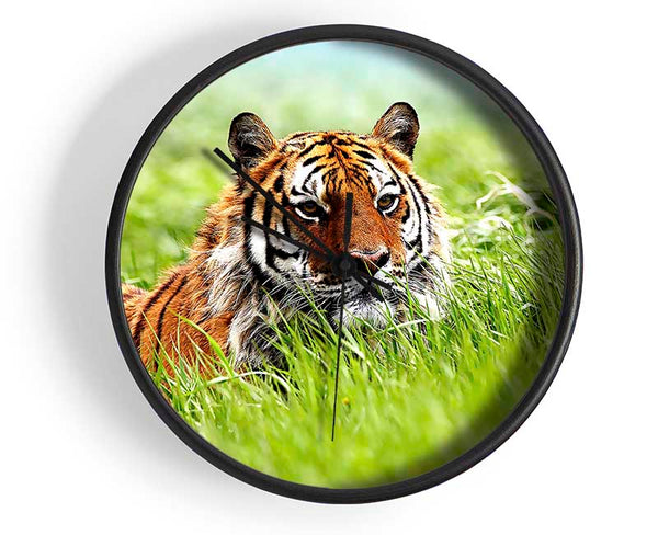 Amazing Siberian Tiger Clock - Wallart-Direct UK