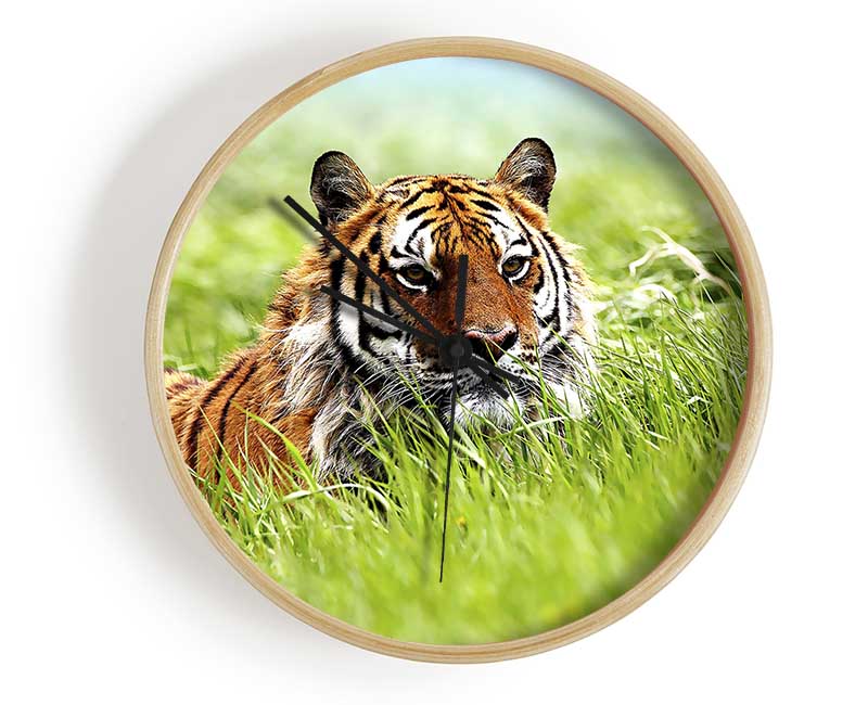 Amazing Siberian Tiger Clock - Wallart-Direct UK