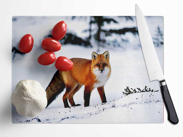 Arctic Fox In Snow Glass Chopping Board