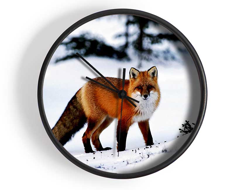 Arctic Fox In Snow Clock - Wallart-Direct UK