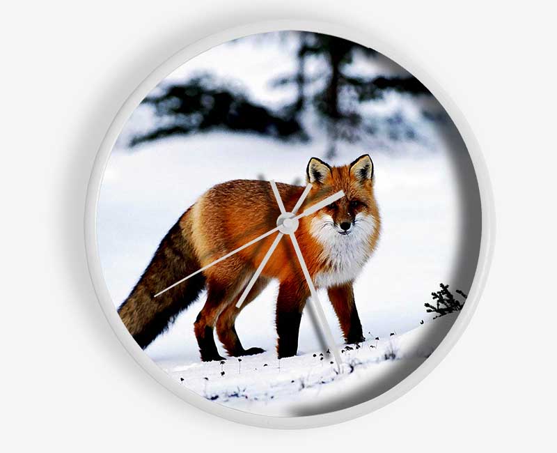 Arctic Fox In Snow Clock - Wallart-Direct UK