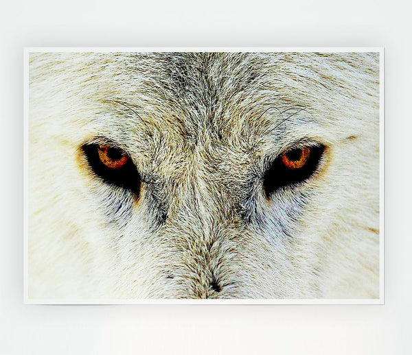 Arctic Wolf Eyes Print Poster Wall Art