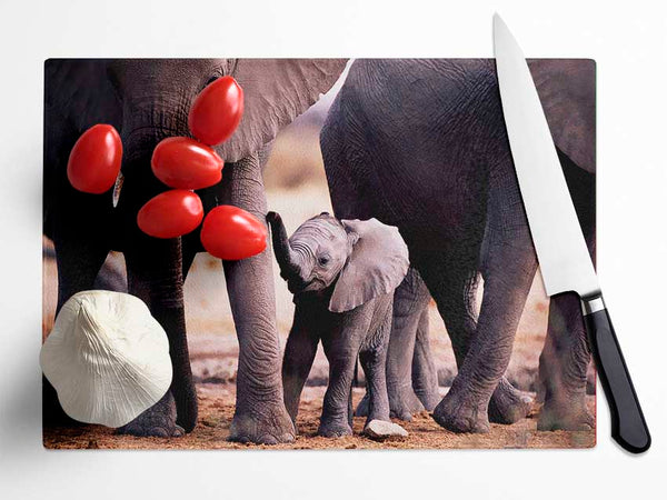 Baby Elephant Love Glass Chopping Board