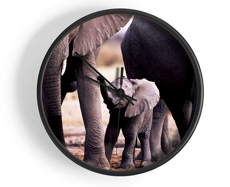Baby Elephant Love Clock - Wallart-Direct UK