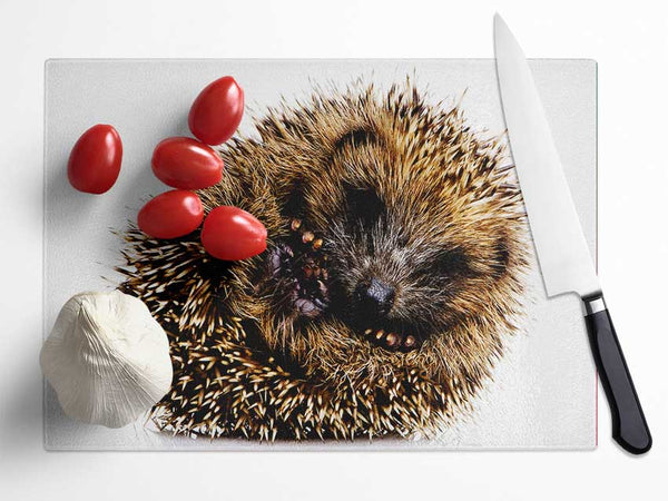 Baby Hedgehog Sleeping Glass Chopping Board