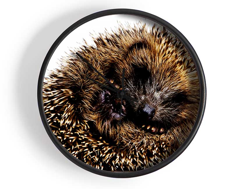 Baby Hedgehog Sleeping Clock - Wallart-Direct UK