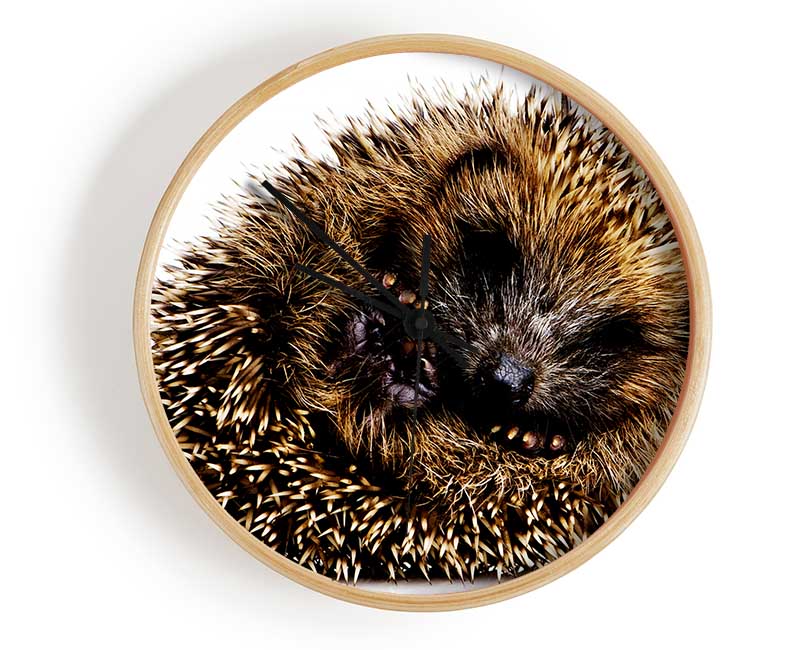 Baby Hedgehog Sleeping Clock - Wallart-Direct UK