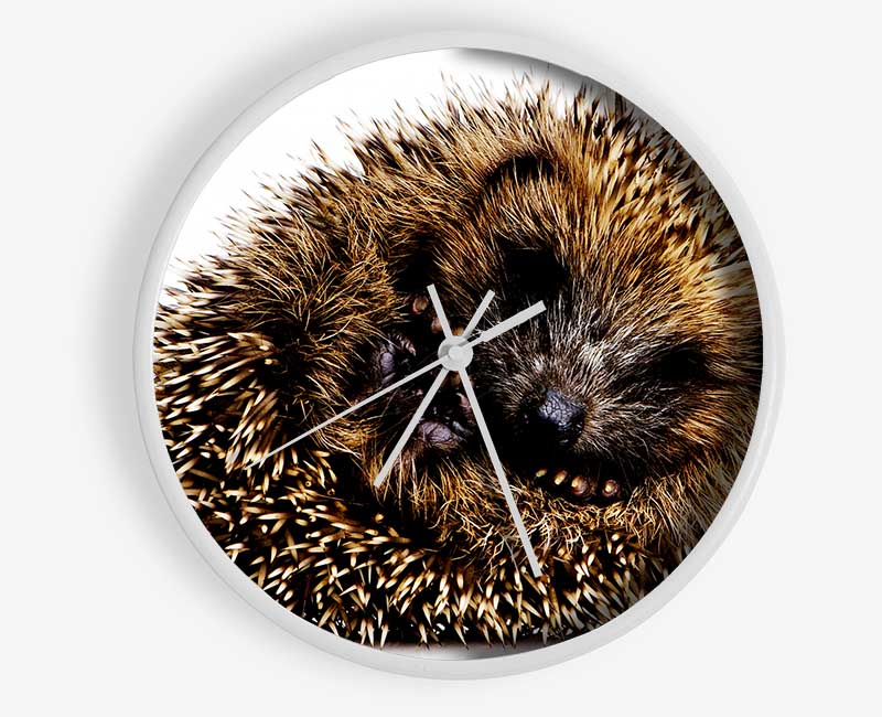 Baby Hedgehog Sleeping Clock - Wallart-Direct UK