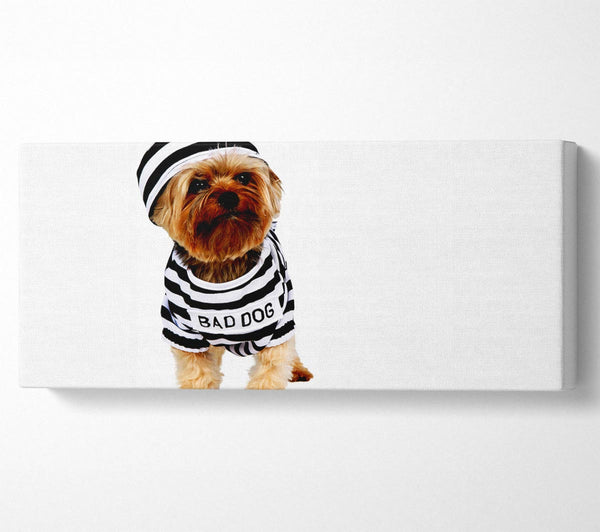 Böser Hund