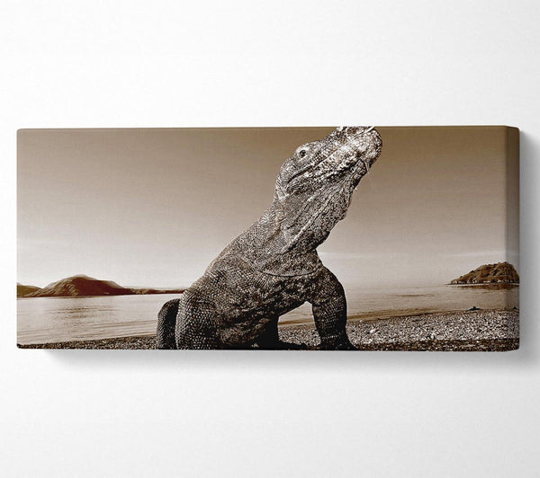 Strand Komodowaran
