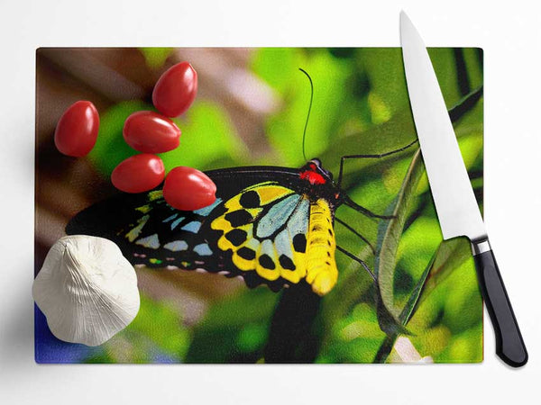 Beautiful Colourful Butterfly Glass Chopping Board