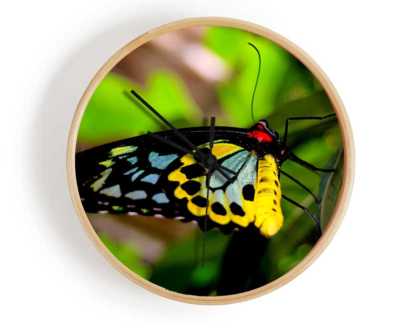 Beautiful Colourful Butterfly Clock - Wallart-Direct UK