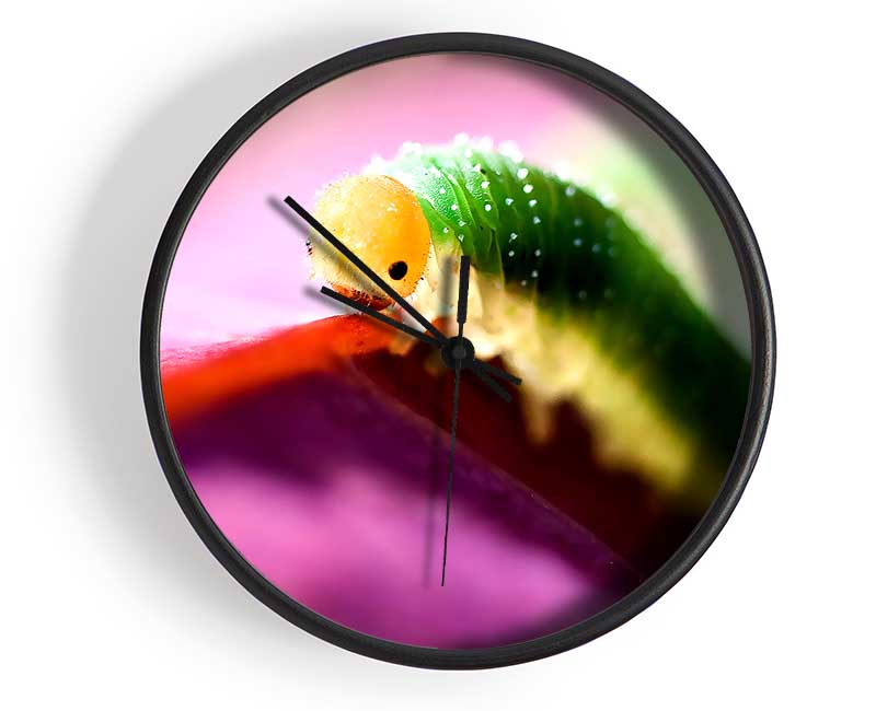 Beautiful Caterpiller Waiting Clock - Wallart-Direct UK