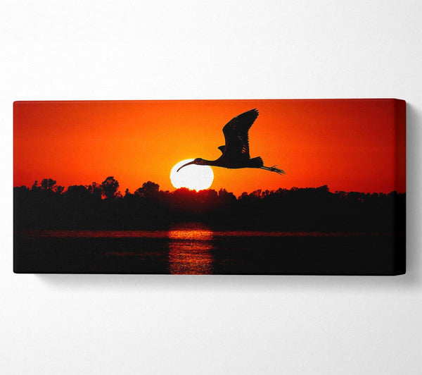 Vogel fliegt bei Sonnenuntergang