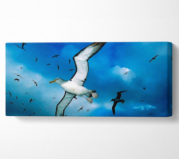 Vögel im Flug
