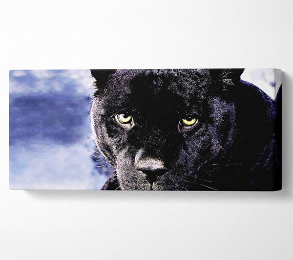Schwarzer Panther