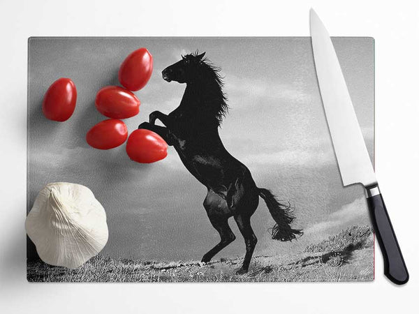 Black Wild Stallion Glass Chopping Board