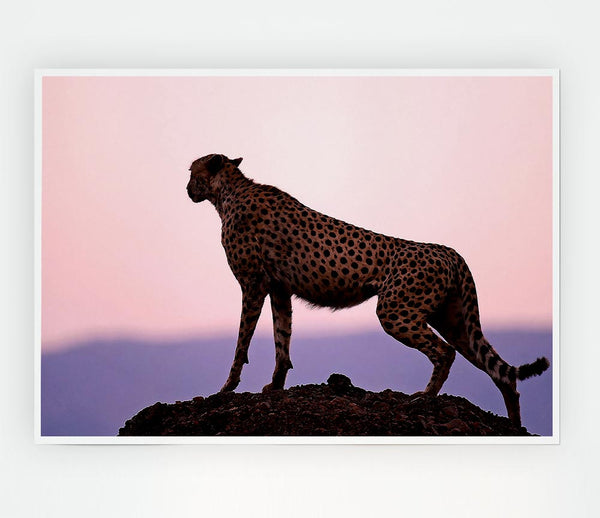 Cheetah Habitat Print Poster Wall Art