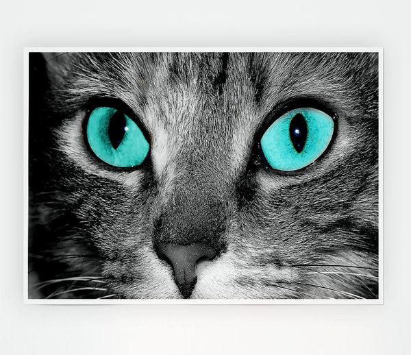 Close Up Of A Grey Tabby Cat Face Print Poster Wall Art