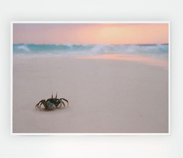 Crab On Beach Print Poster Wall Art