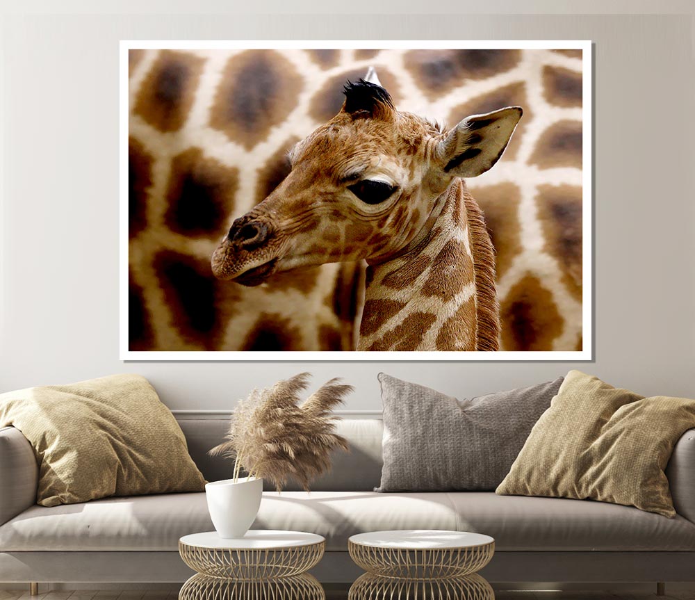 Cute Giraffe Print Poster Wall Art