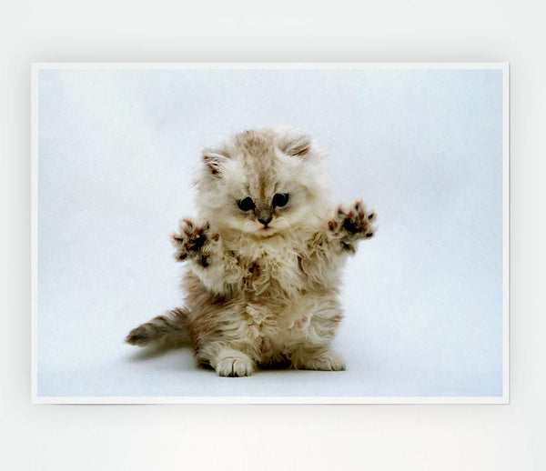 Cute Kitten Paws Print Poster Wall Art