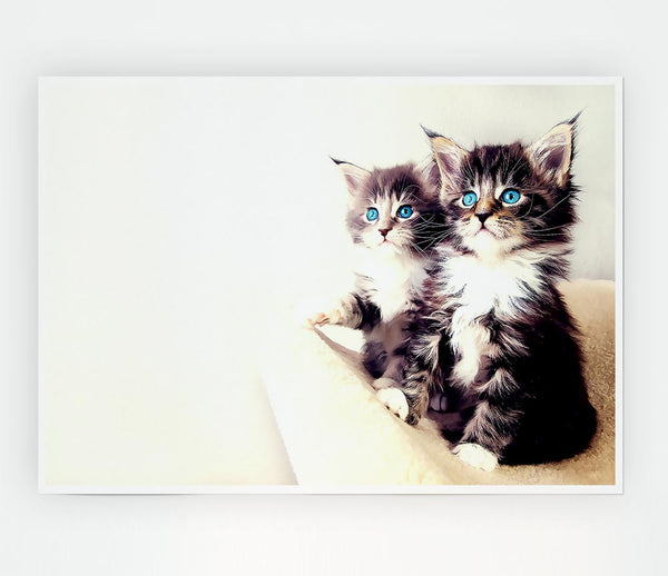 Cute Kittens Print Poster Wall Art