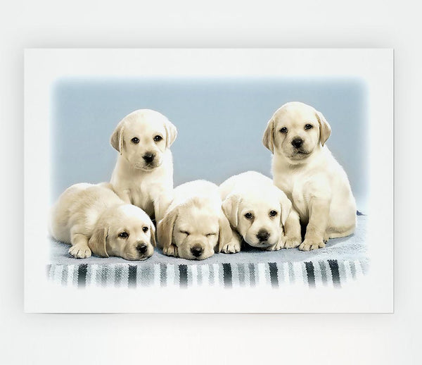 Cute Puppies Print Poster Wall Art