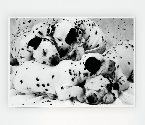 Dalmatian Puppies In Dreamland Print Poster Wall Art