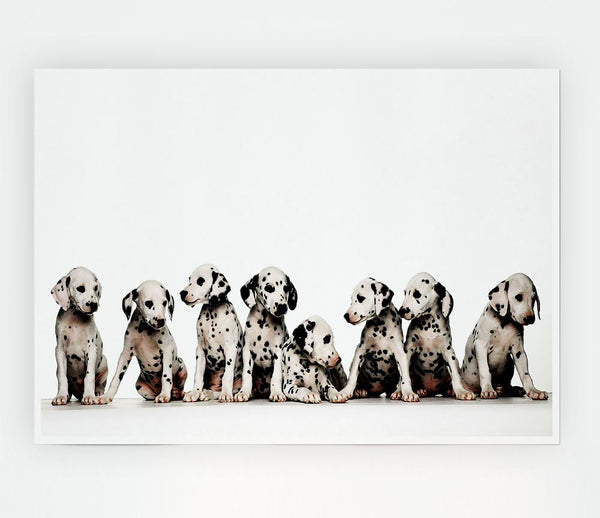 Dalmatian Puppy Fun Print Poster Wall Art