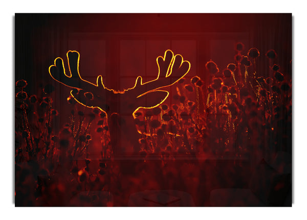 Hirsch im goldenen Sonnenlicht