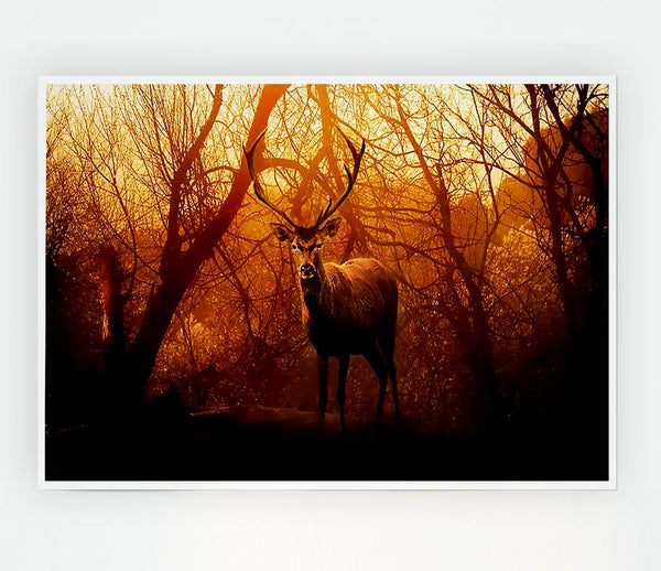 Deer In Winter Print Poster Wall Art