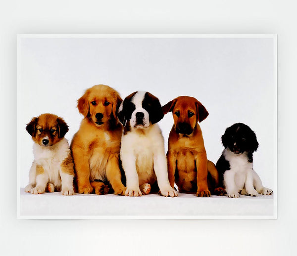 Dog Family Print Poster Wall Art