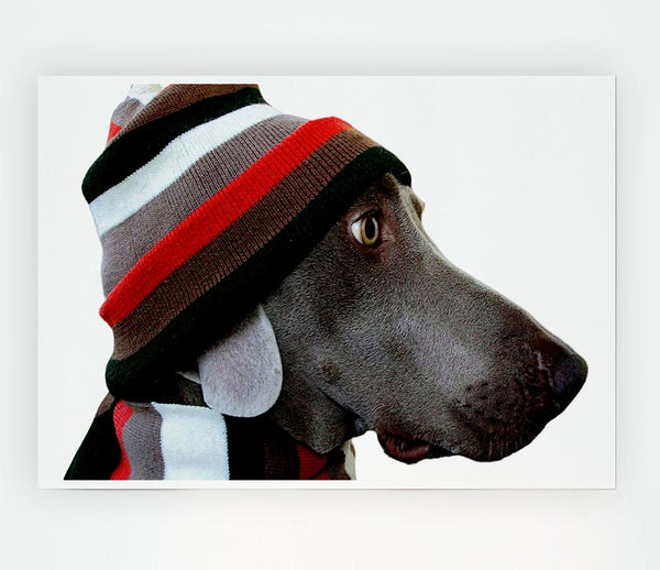 Dog Funny Hat Print Poster Wall Art
