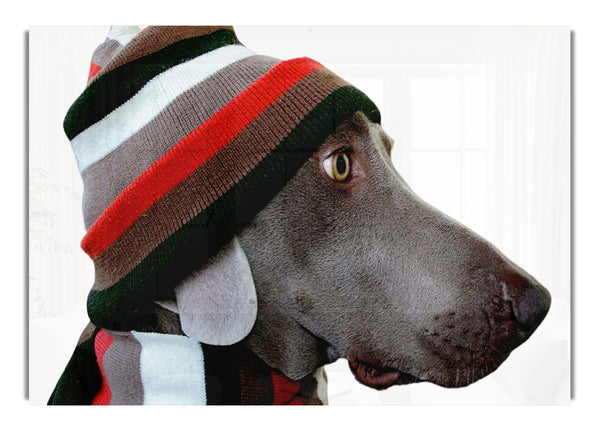 Lustiger Hundehut