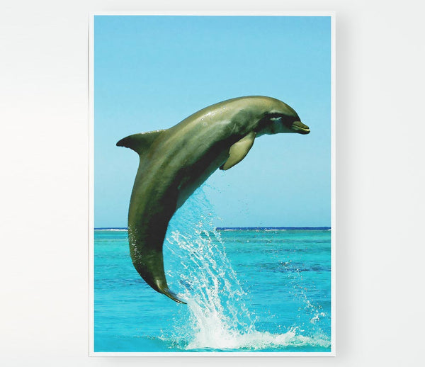 Dolphin Jump Print Poster Wall Art