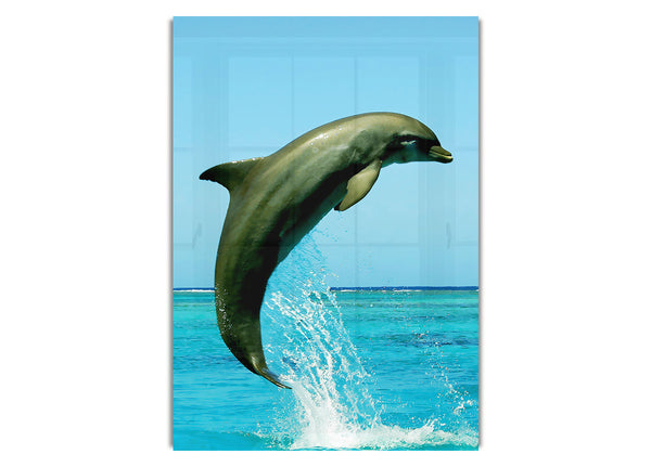 Delphinsprung