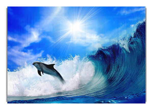 Delphin springt ins Meer