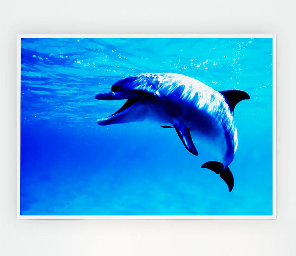Dolphin Talk Print Poster Wall Art